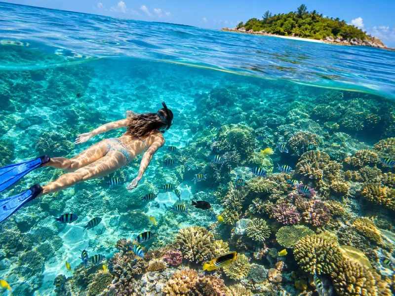 Catalina Island Catamaran & Reef Snorkel